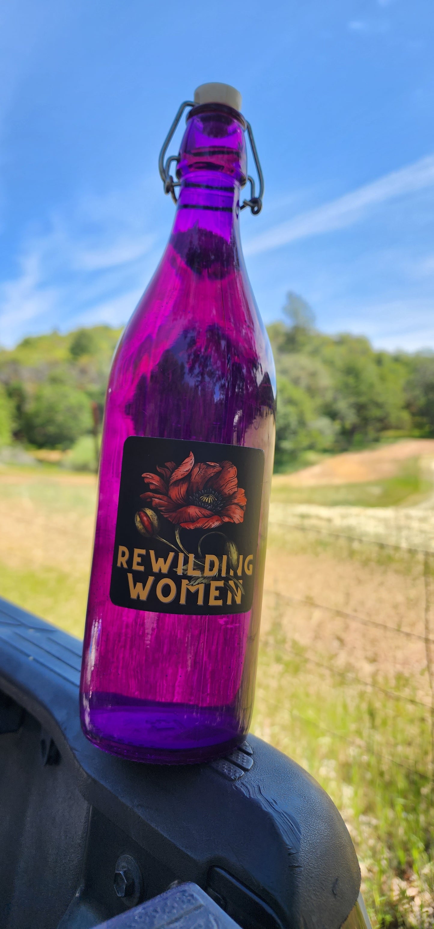 Rewilding Women Sticker